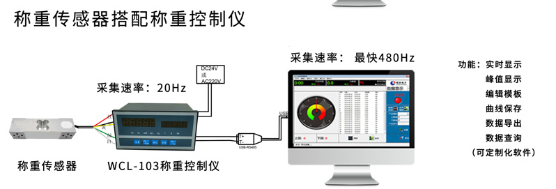 301L称重电脑端显示_03