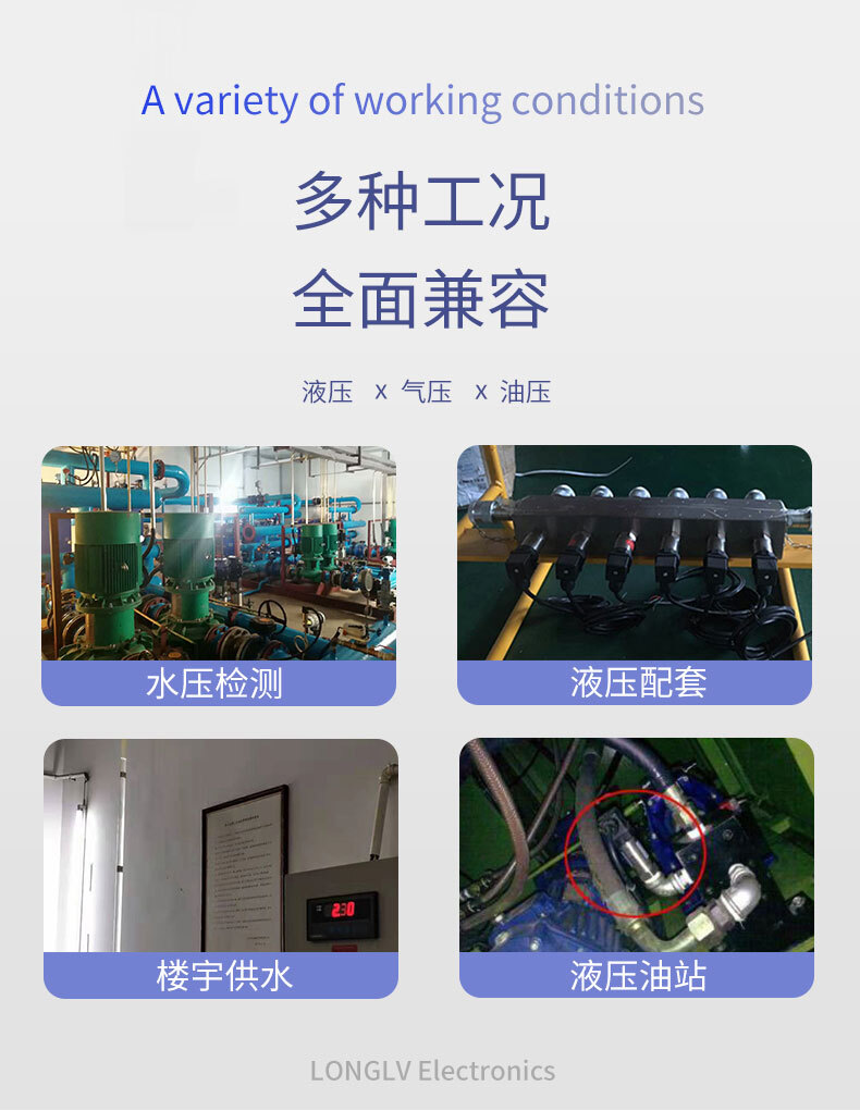 PTL702Q超高压变送器_02 PTL702Q超高压变送器_02