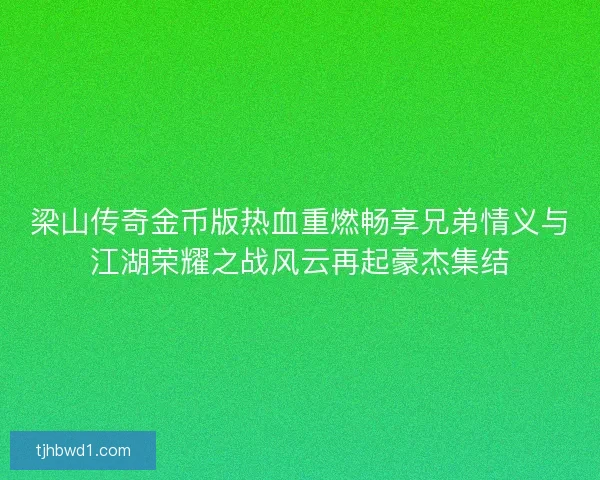 梁山传奇金币版热血重燃畅享兄弟情义与江湖荣耀之战风云再起豪杰集结
