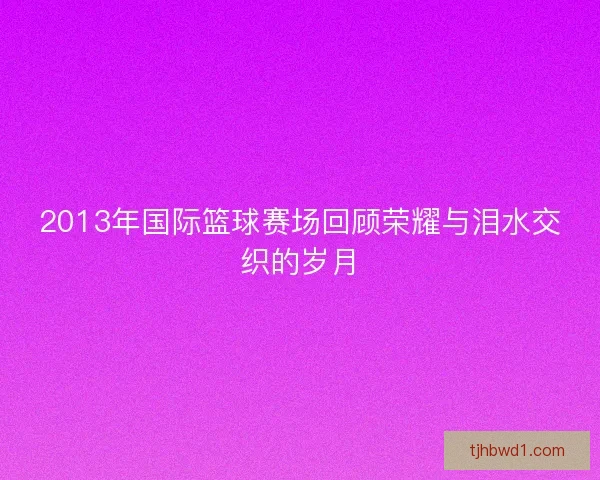 2013年国际篮球赛场回顾荣耀与泪水交织的岁月