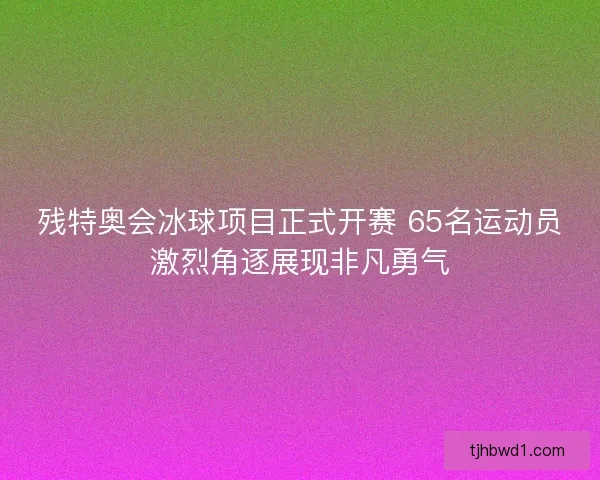 残特奥会冰球项目正式开赛 65名运动员激烈角逐展现非凡勇气