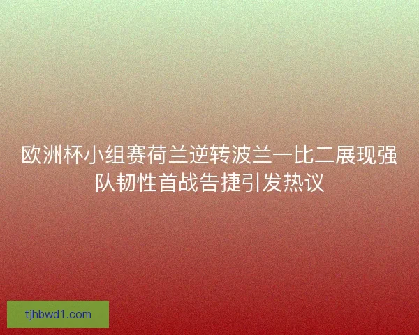 欧洲杯小组赛荷兰逆转波兰一比二展现强队韧性首战告捷引发热议