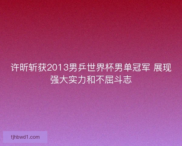 许昕斩获2013男乒世界杯男单冠军 展现强大实力和不屈斗志
